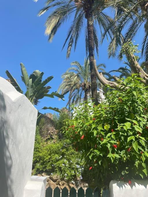 Apartment. Newly Renovated. * Marbella